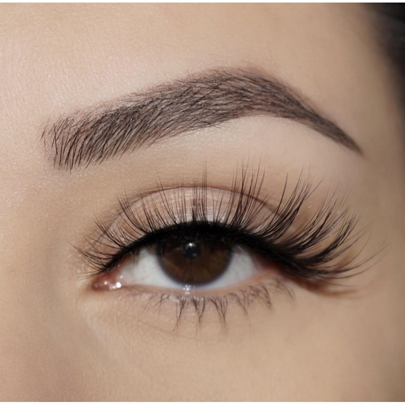 Zola Lashes Caliente Magnetic Lashes