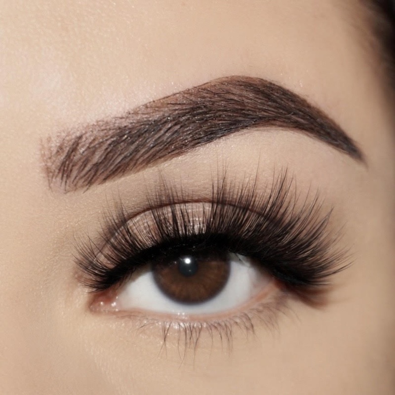 Zola Lashes Gemma Lashes
