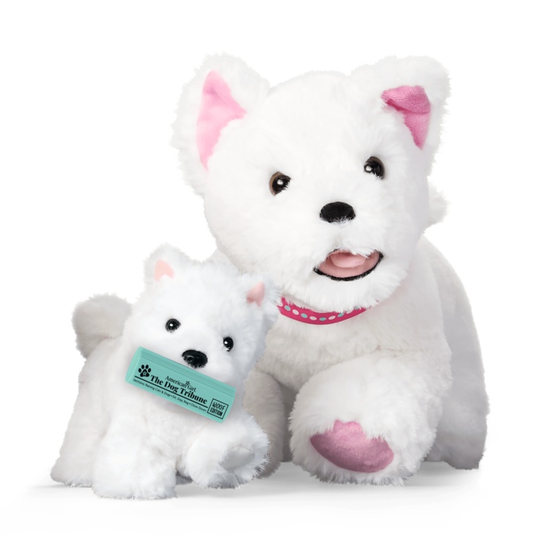 Coconut Chip Dog Bundle