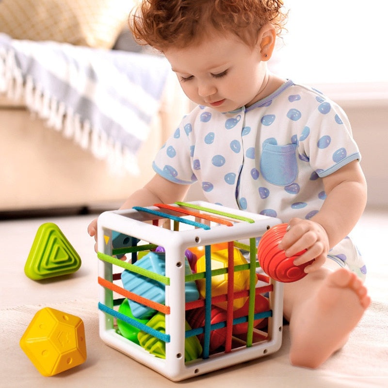 Brinquedo educativo para bebs, montessoriano, colorido