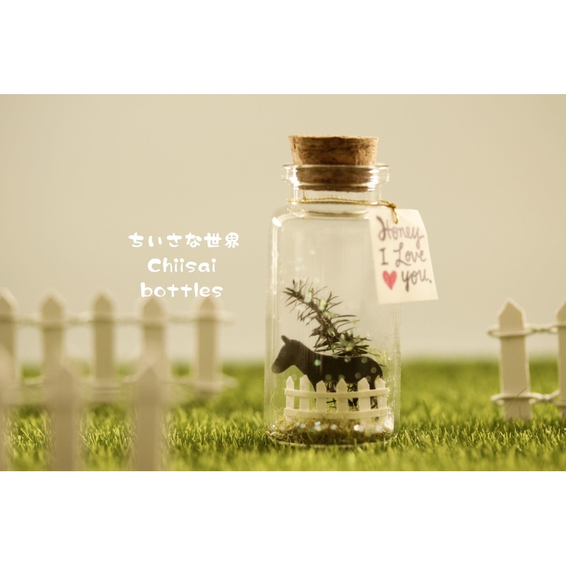 horse message in bottle RM40382035