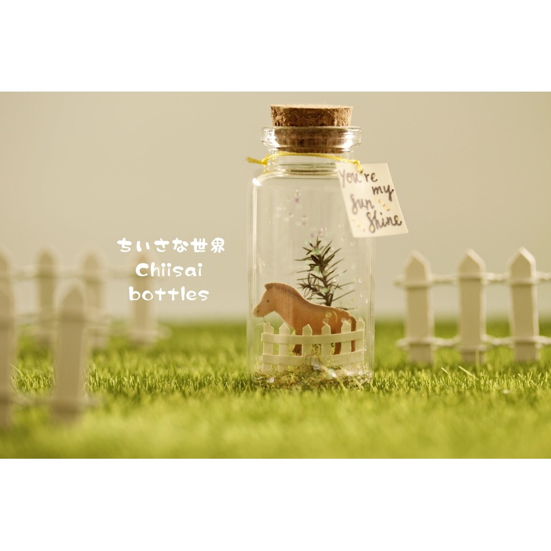 horse message in bottle RM40382037