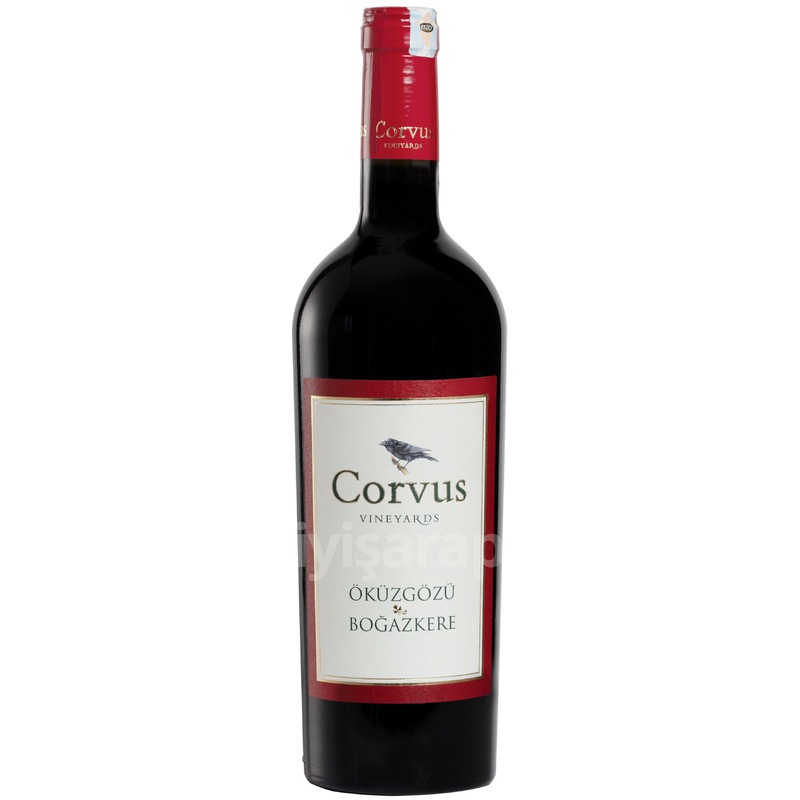 Corvus kzgz & Boazkere